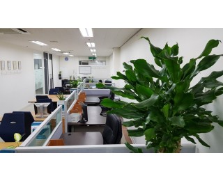 구로동.가산동 역세권 공동사무실 1인 13만원, 6인실 50만원