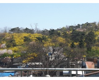 충무로역 도보5~10분 남산 자락에 위치한 조용한 사무실 쉐어합니다.