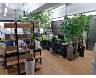 [합정역]사무실을 쉐어하고 월세 등의 고정비용을 절감하세요