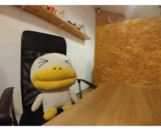 주인님을 찾습니다!