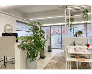 1인 개인 사업자, 청년 사업자를 위한 자유석 여름 프로모션, 사무실 임대 추천