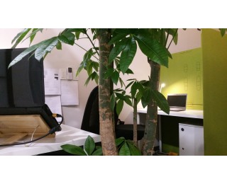 1::1 바로상담 가능! 프리랜서, 1인기업, 스타트업을 위한 강남역1번1분 쉐어오피스 옥셔노리