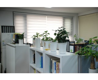 마포/서교동/망원동 사무실 함께 쓰실 분 찾습니다(소호사무실 아님)