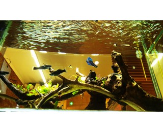 16만원18만원사무실쉐어(이수역구반포역)