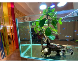 쉐어 - 서초사당이수