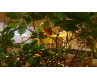 (2020년 5월 19일 3자리)  오피스쉐어,사무실공유,쉐어오피스 -  서초사당이수