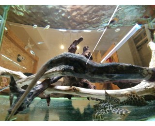 이수역-딱 2명!(9월1일부터)