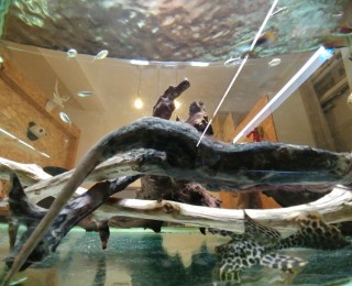 16-17만원, 서초반포이수_24시간 깨끗한 공유사무실입니다