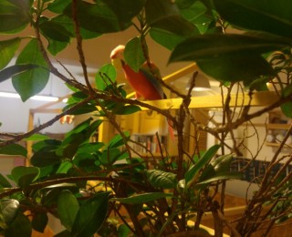 16만원으로 나만의 작업실이 생긴다