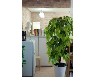 마포/홍대/합정동 디자인 사무실 공유