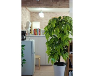 마포/홍대/합정동 조용한 디자인 사무실 공유