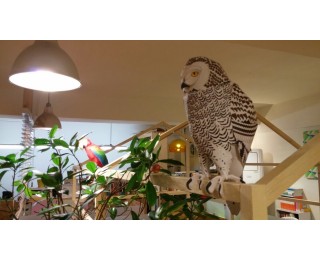 [4.7.9호선이용] 강남서초반포 작업실