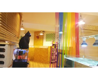 서초반포이수사당- 18만원 16만원 사무실쉐어(4.7.9호선)​