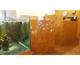 이수역/구반포역-16만원18만원!