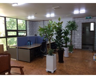 양재천에 위치한 쾌적한 사무실 공유합니다.