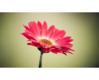 강남구 Art하고 조용한 사무실 쉐어합니다.