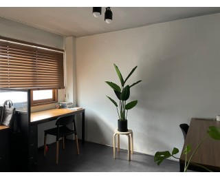 서울숲카페거리 작업실쉐어 멤버 구합니다.