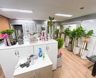 [강남권] 저렴하게 쾌적한 환경의 오피스 쉐어합니다.